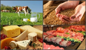 В Кыргызстане к 2040 году планируется перерабатывать 50% сельхозпродукции