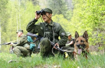 иллюстративное фото