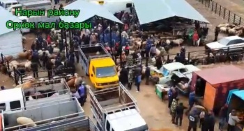 В КР в этом году построено 7 новых муниципальных животноводческих рынка
