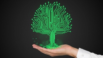 В Бишкеке проходит ЭКСПО "Женское предпринимательство 2024"