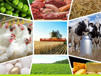 Торобаев: 60 видов сельхозпродукции КР экспортируется в 80 стран мира