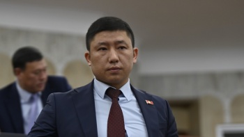 Карим Ханджеза: Мы не сможем решить проблему отстрелом собак и кошек