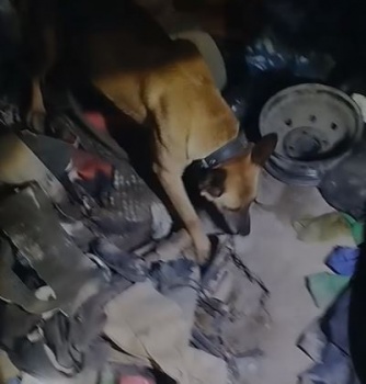 Стоп-кадр из видео