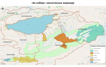 В Иссык-Кульской области создан экологический коридор "Ак илбирс"