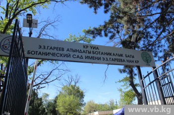Цветы и память о великом ученом: в Бишкеке прошел фестиваль тюльпанов