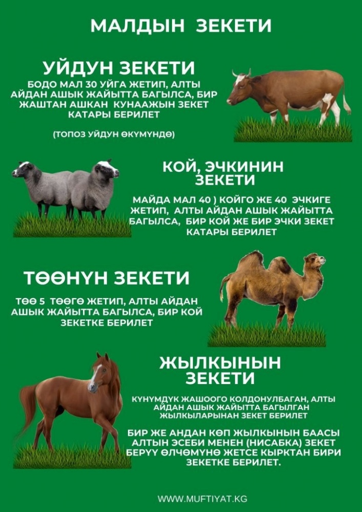 Василилишина роза жалаңаш Беркованың үйлену тойындағы секс видеосы